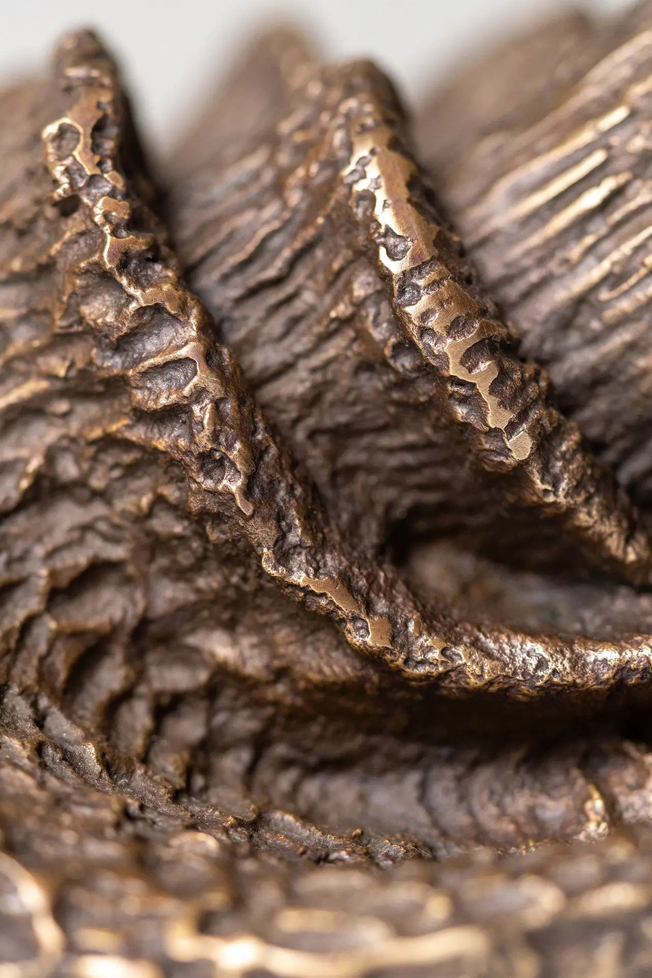 Detailed view of The Wiseman bronze wall-mounted sculpture