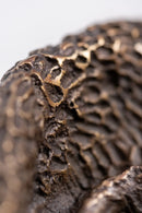 Decorative bronze mask – The Wiseman by skilled sculptor